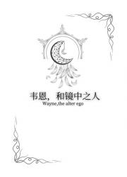 [综英美]韦恩，和镜中之人