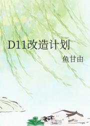 D11改造计划