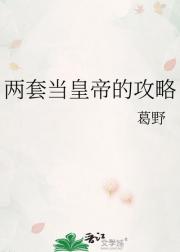 两套当皇帝的攻略