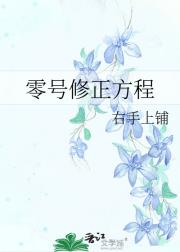 零号修正方程