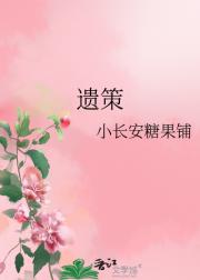遗策
