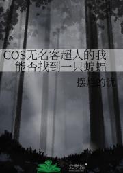 COS无名客超人的我能否找到一只蝙蝠