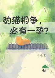 豹猫相争，必有一孕？