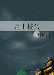 月上枝头
