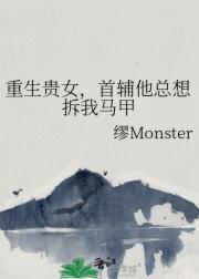 重生贵女，首辅他总想拆我马甲