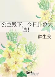 公主殿下，今日卦象大凶！