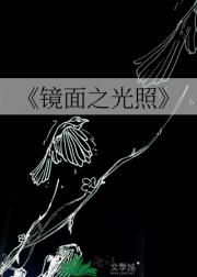 镜面之光照