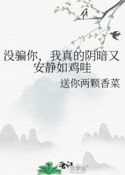 没骗你，我真的阴暗又安静如鸡哇