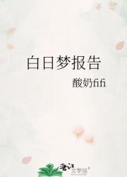 白日梦报告