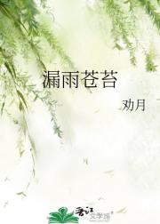 漏雨苍苔