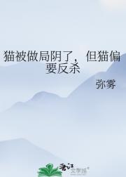猫被做局阴了，但猫偏要反杀