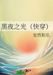 黑夜之光