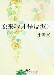 原来我才是反派？