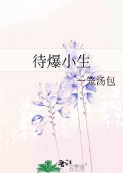待爆小生