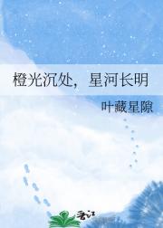 橙光沉处，星河长明