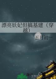 漂亮宠妃，但搞基建（穿越）