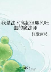 我是法术高超但迎风吐血的魔法师