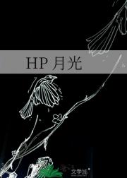 HP clair de lune(月光）
