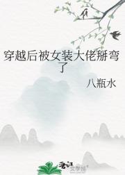 穿越后被女装大佬掰弯了