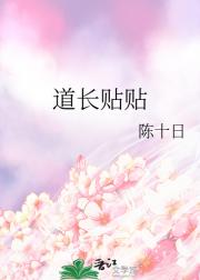 道长贴贴