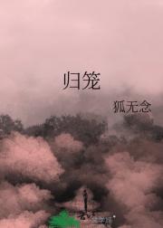 归笼