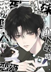 攻略猫系自由人真的没问题吗[排球]
