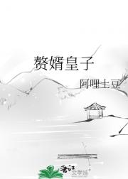 赘婿皇子
