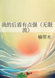 我的后盾有点强（无限流）