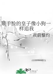 顺手捡的皇子像小狗一样追我