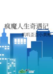 疯魔人生奇遇记
