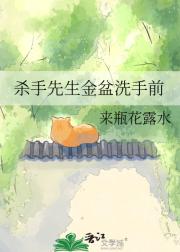 杀手先生金盆洗手前