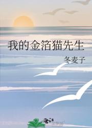 我的金箔猫先生