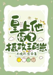 皇上他怀了摄政王的崽