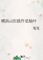 横滨ol但插件是脑叶