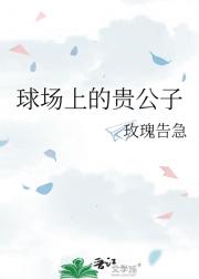 球场上的贵公子