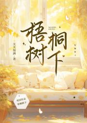 梧桐树下