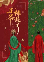 王爷被抢了