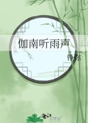 伽南听雨声