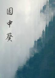 园中葵