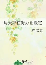 每天都在努力圆设定