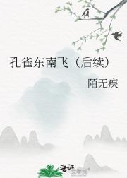 孔雀东南飞（后续）