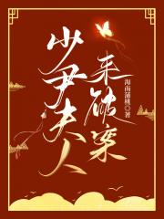 少尹夫人来破案