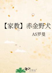 【家教】赤金野犬