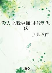 没人比我更懂同态复仇法