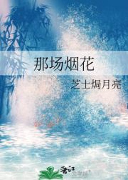 那场烟花