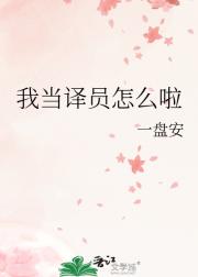 我当译员怎么啦