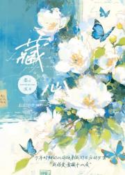 藏心