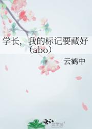 学长，我的标记要藏好（abo）