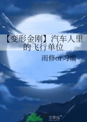 【变形金刚】汽车人里的飞行单位