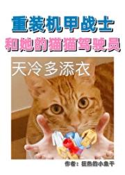 重装机甲战士和她的猫猫驾驶员